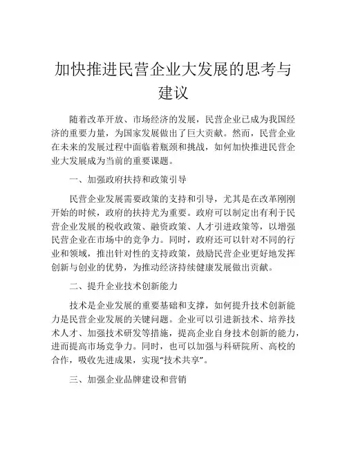 加快推进民营企业大发展的思考与建议