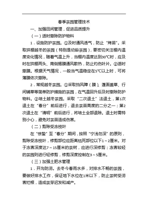 春季茶园管理技术