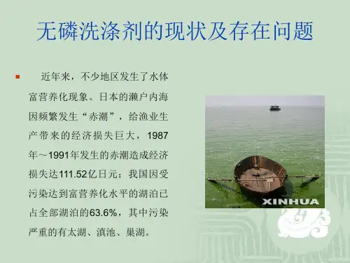 无磷洗涤剂的现状及存在问题教学内容