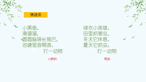 统编版二年级语文上册1 小蝌蚪找妈妈 (课件)(共13张PPT)