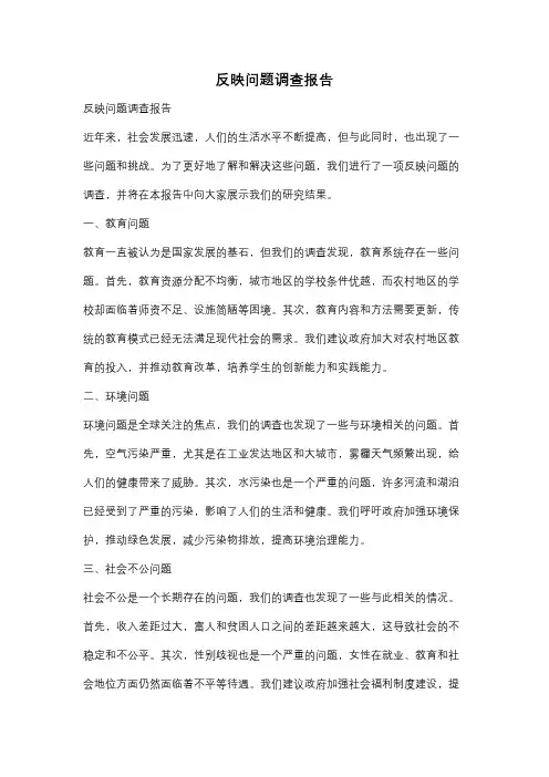 反映问题调查报告