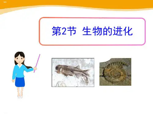 《生物的进化》PPT-完美版