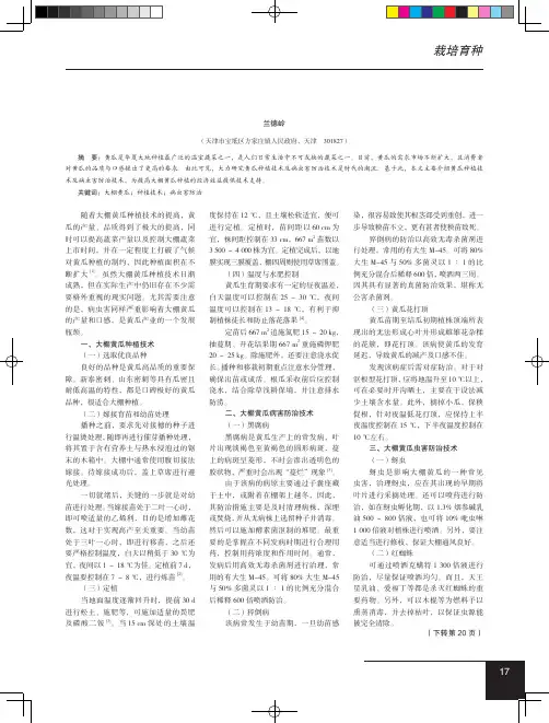 大棚黄瓜种植技术及病虫害防治技术
