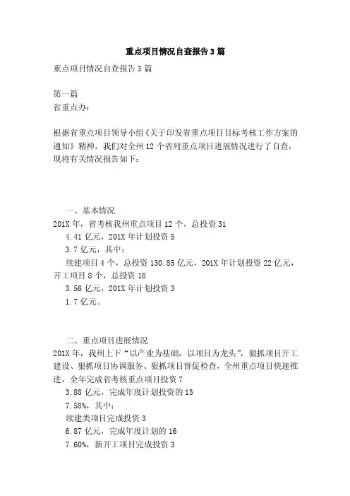 重点项目情况自查报告3篇（完整版）