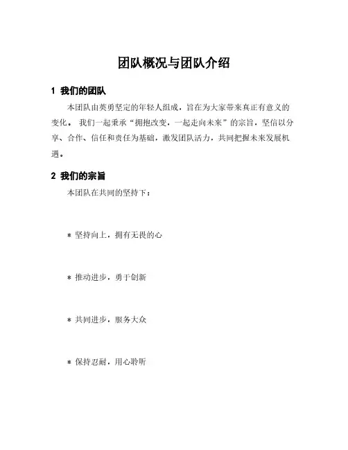 团队概况与团队介绍
