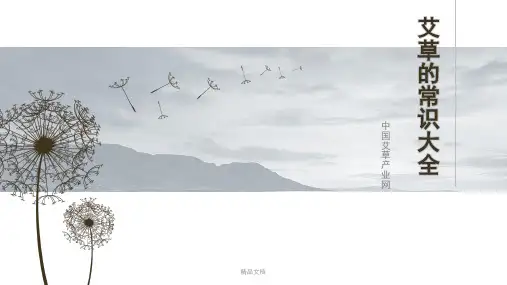 完整版艾草的常识大全..pptx