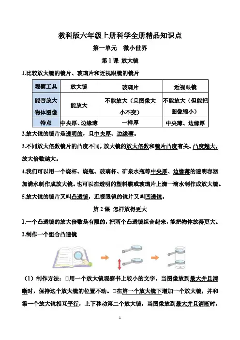 教科版六年级上册科学全册精品知识点