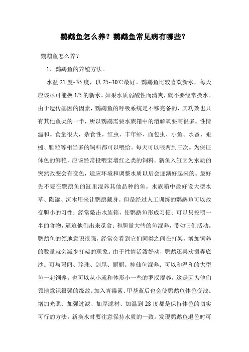 鹦鹉鱼怎么养？鹦鹉鱼常见病有哪些？