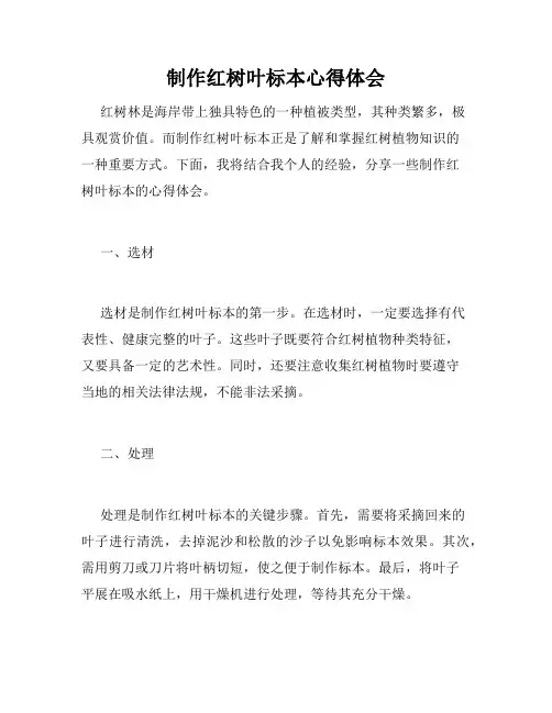 制作红树叶标本心得体会