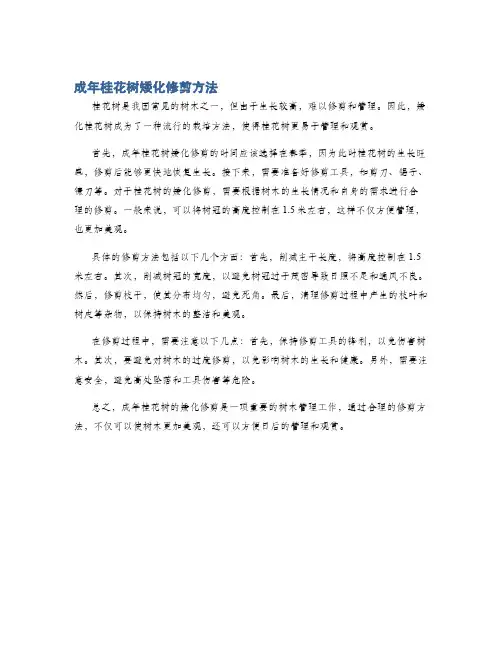 成年桂花树矮化修剪方法
