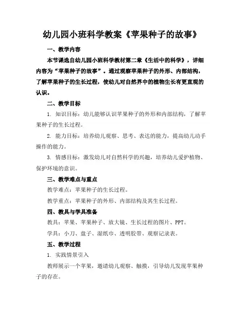 幼儿园小班科学教案《苹果种子的故事》