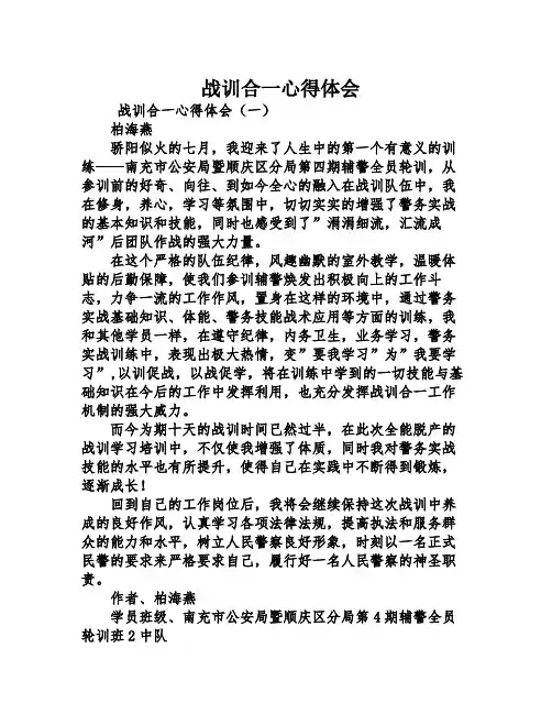 战训合一心得体会