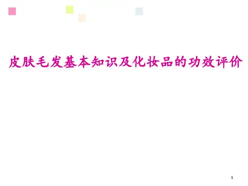 皮肤毛发基本知识及化妆品的功效评价 ppt课件
