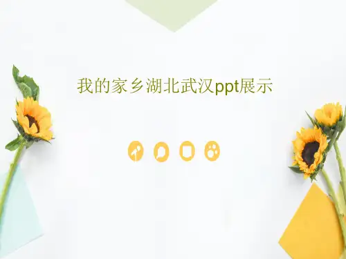 我的家乡湖北武汉ppt展示32页PPT
