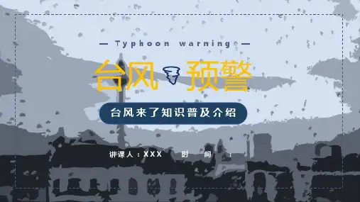 简约商务风台风来了预警知识普及教育专题讲授PPT课件