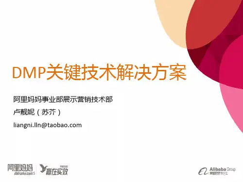 DMP关键技术分享PPT课件