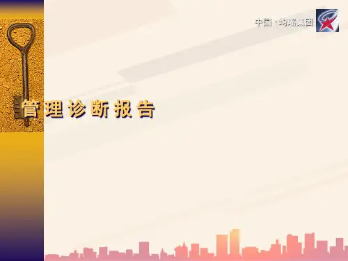 某集团管理诊断报告(ppt 34页)