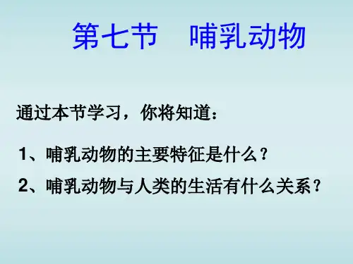 人教版生物八年级上册.7 哺乳动物 课件