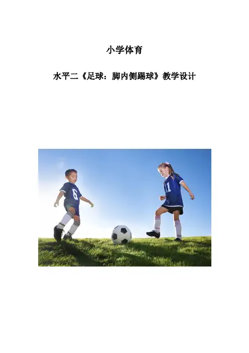 体育-小学足球《脚内侧踢球》教学设计