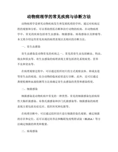 动物病理学的常见疾病与诊断方法