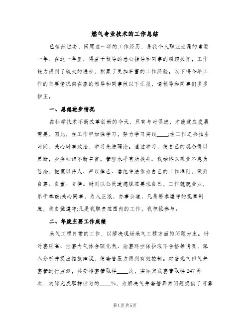燃气专业技术的工作总结（2篇）