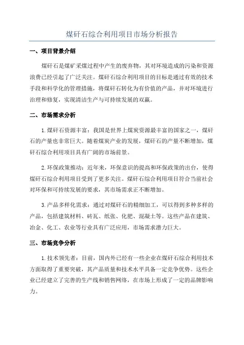 煤矸石综合利用项目市场分析报告