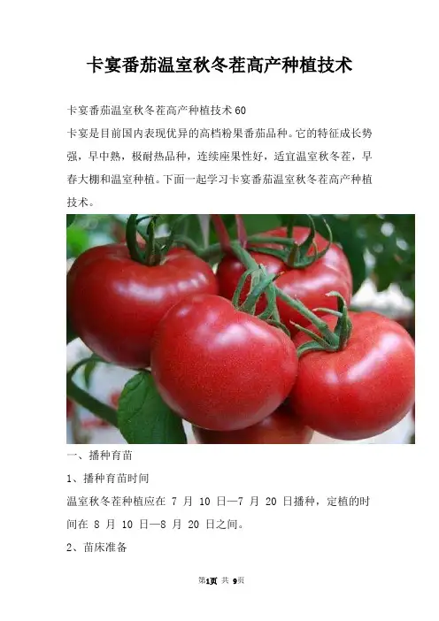 卡宴番茄温室秋冬茬高产种植技术