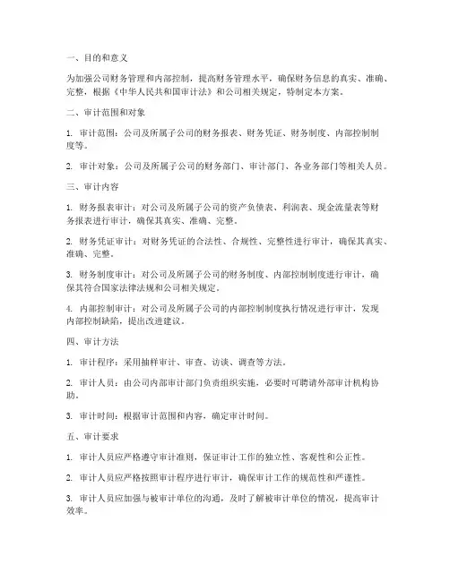 财务专项审计实施方案