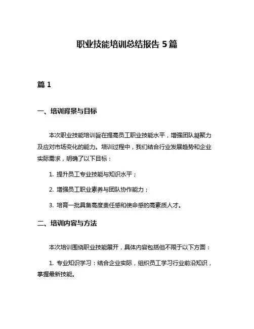 职业技能培训总结报告5篇