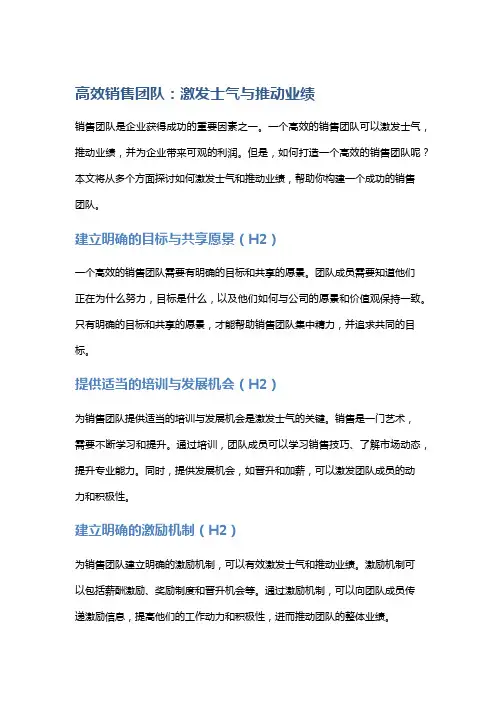 高效销售团队：激发士气与推动业绩