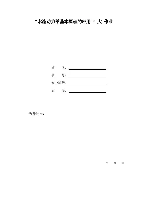 流体力学大作业