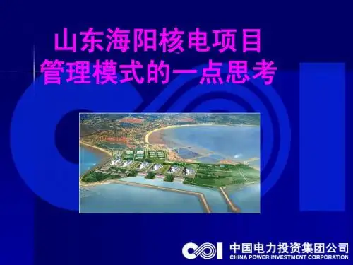山东核电建设管理模式设想