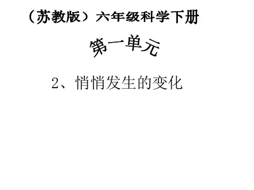 《悄悄发生的变化》PPT完美课件苏教版科学1