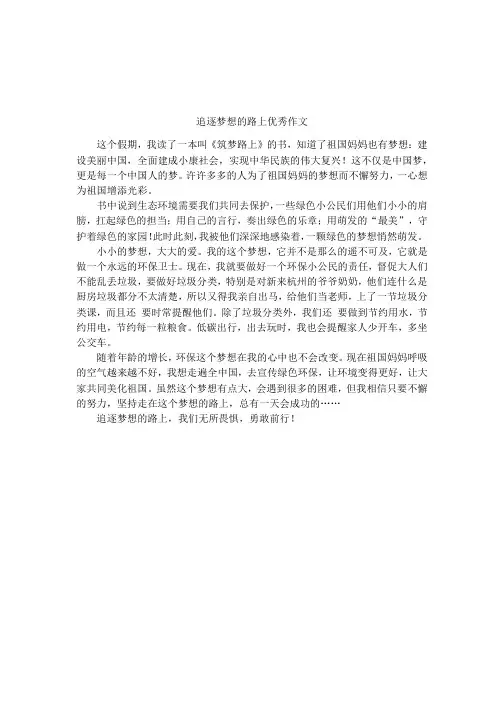 追逐梦想的路上优秀作文