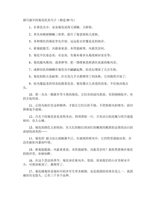 描写盛开的菊花优美句子