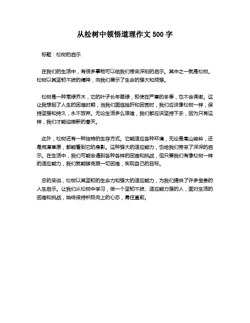从松树中领悟道理作文500字