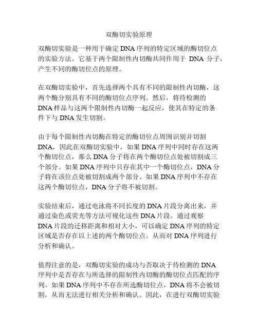 双酶切实验原理