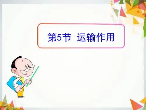 运输作用PPT【教学课件】