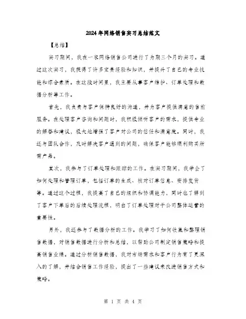 2024年网络销售实习总结范文（2篇）
