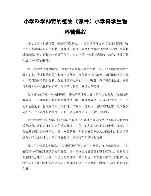 小学科学神奇的植物(课件)小学科学生物科普课程