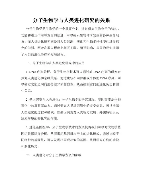 分子生物学与人类进化研究的关系
