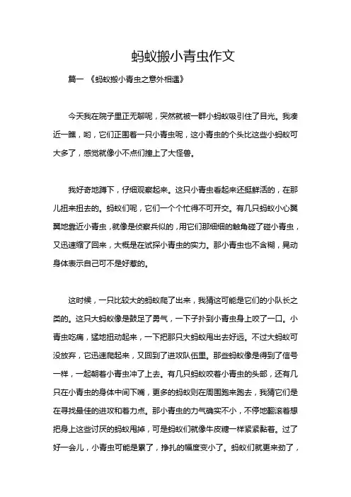 蚂蚁搬小青虫作文