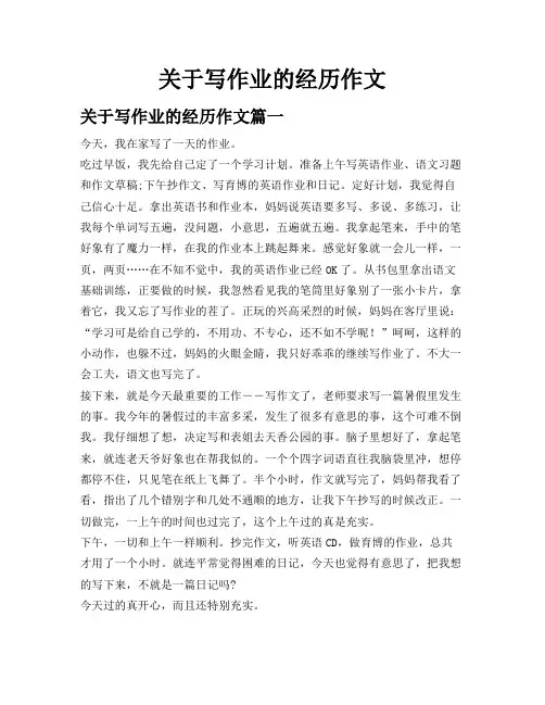 关于写作业的经历作文