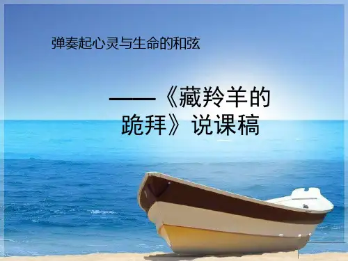 藏羚羊的跪拜说课稿