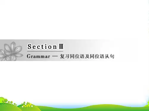 高中英语人教版选修八课件：Unit+2+Section+Ⅲ+Grammar—复习同位语及同位语从句