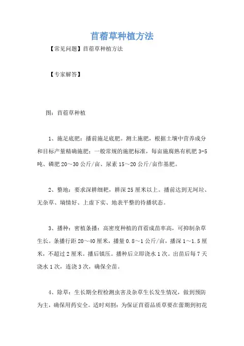 苜蓿草种植方法