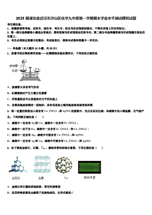 2025届湖北省武汉市洪山区化学九年级第一学期期末学业水平测试模拟试题含解析