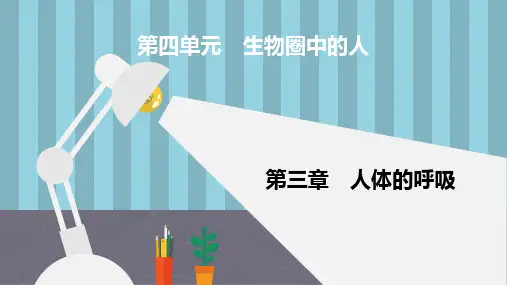中考生物《第4单元_第三章_人体的呼吸》复习课件