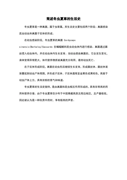 简述冬虫夏草的生活史
