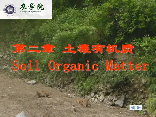 第二章土壤有机质